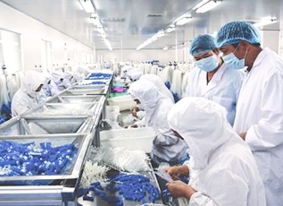 4118云顶集团·(中国)股份有限公司